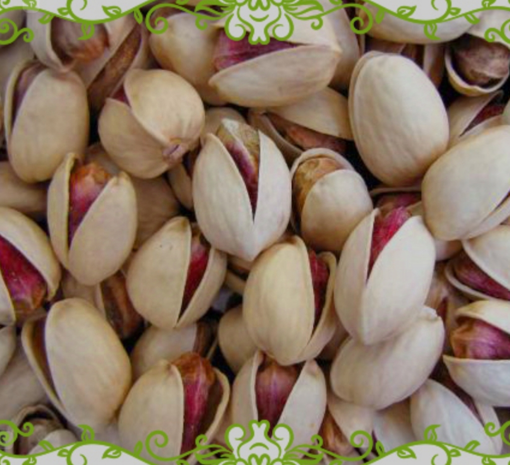 پسته کله قوچی